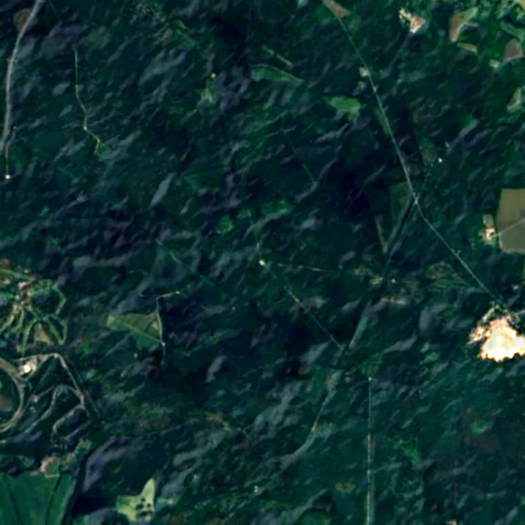 Ermenonville Forest seen from above (Sentinel-2)