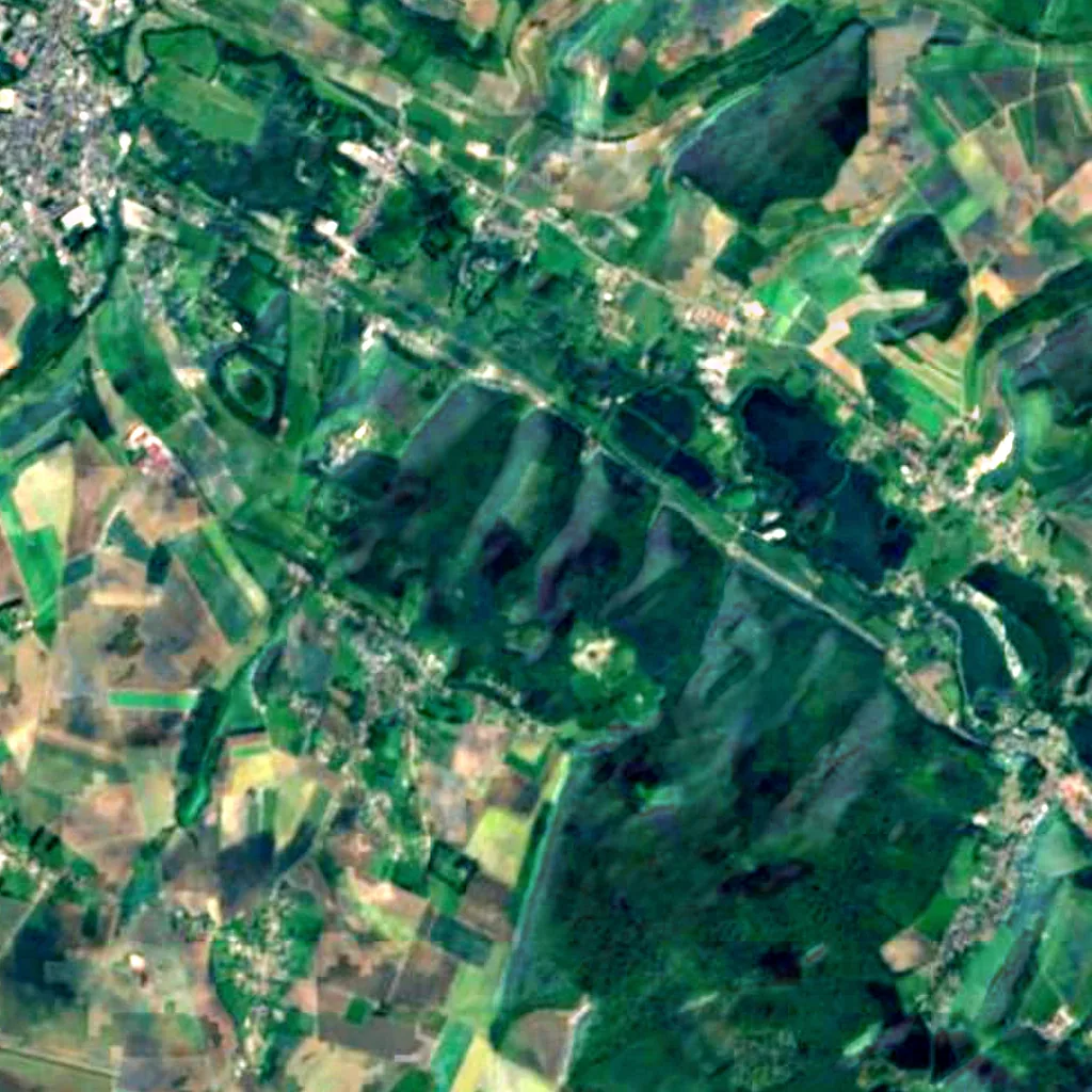 Eu Forest seen from above (Sentinel-2)