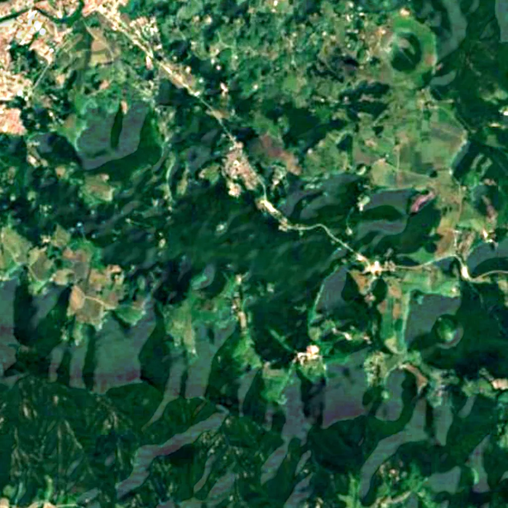 Fageda d'en Jordà seen from above (Sentinel-2)