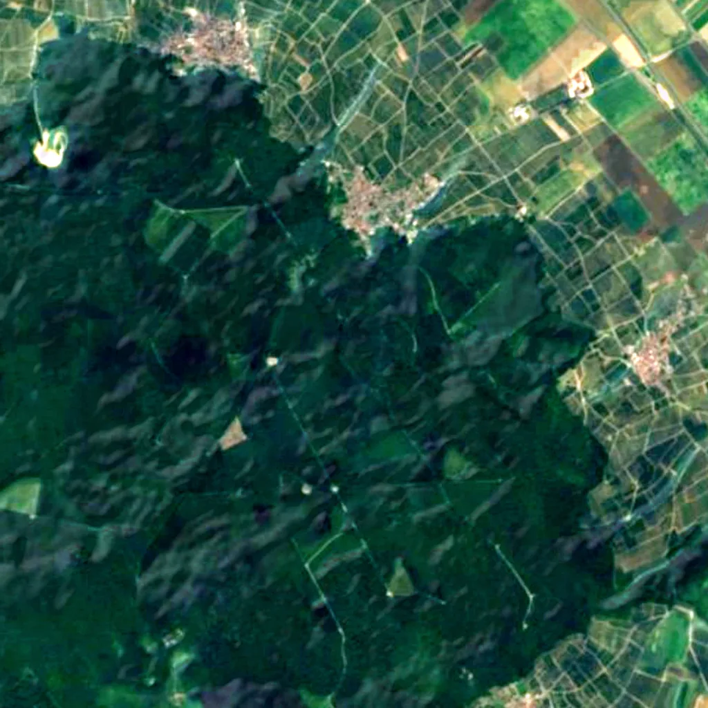 Faux de Verzy seen from above (Sentinel-2)