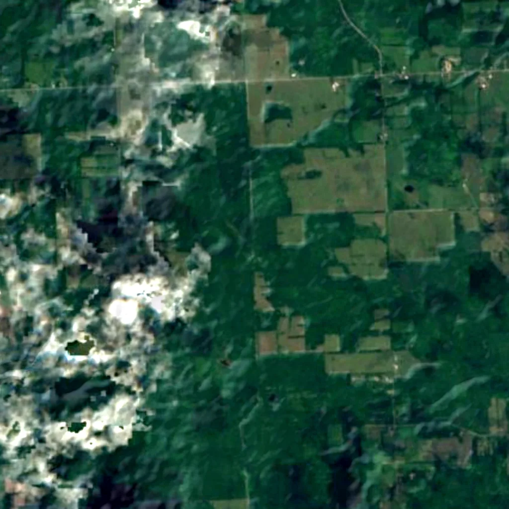 Finger Lakes National Forest seen from above (Sentinel-2)