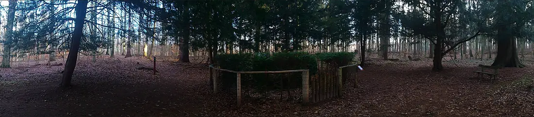 Chief Forester Linstows grave