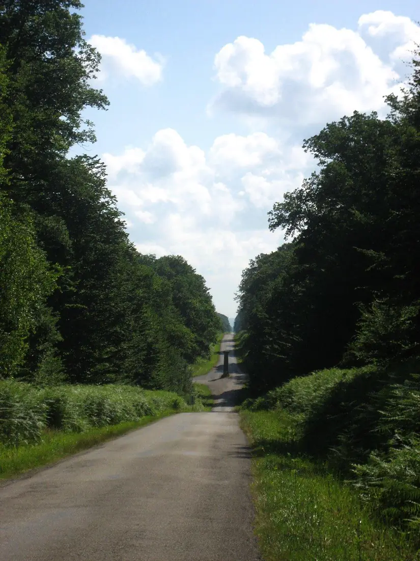La forêt de Chaux, west of Besançon - panoramio