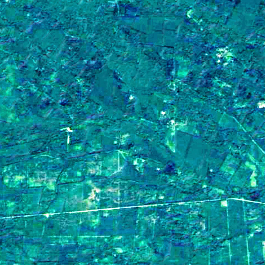 Forest of Hagenau seen from above (Sentinel-2)