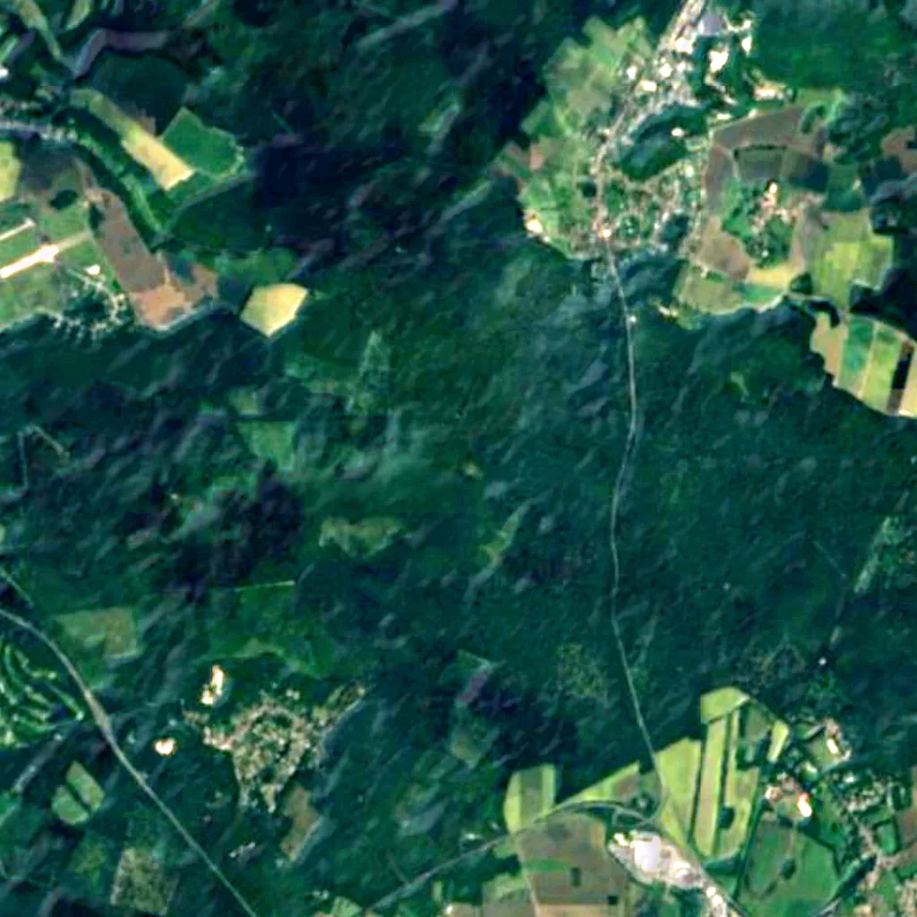 Forest of Halatte seen from above (Sentinel-2)