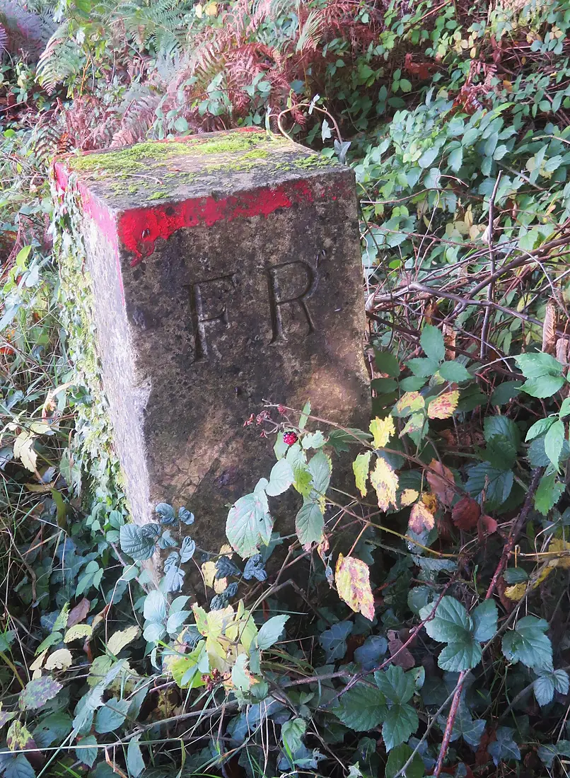 Borne limitative de la forêt de Retz au nord d'Haramont