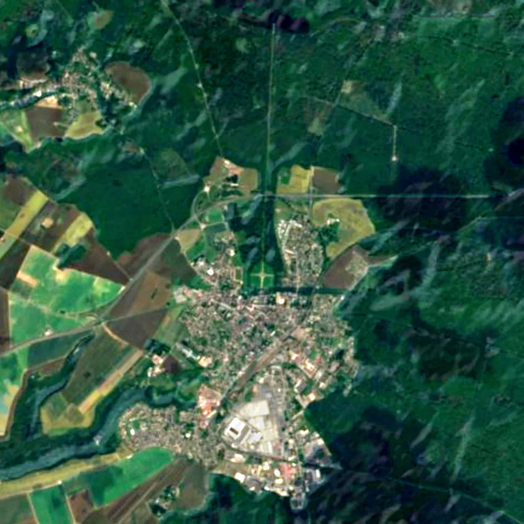 Forest of Retz seen from above (Sentinel-2)
