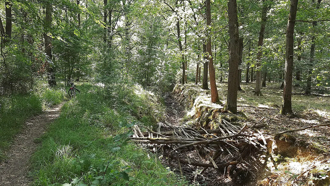 Forêt de Sénart - Fossé