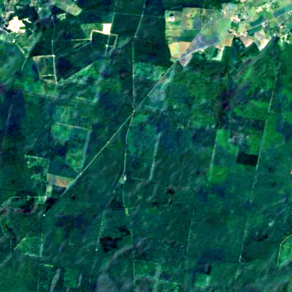 Forêt de Brotonne seen from above (Sentinel-2)