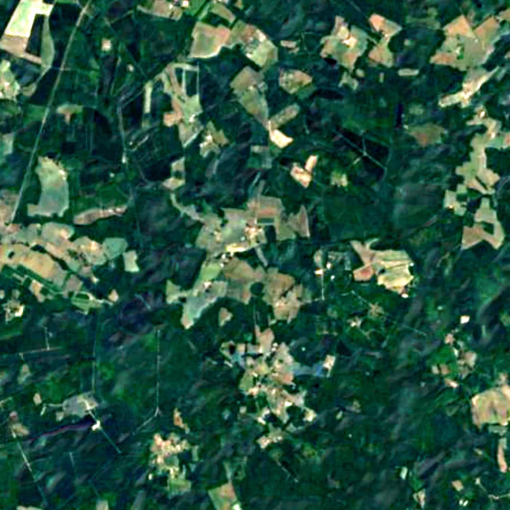 Forêt de la Double seen from above (Sentinel-2)