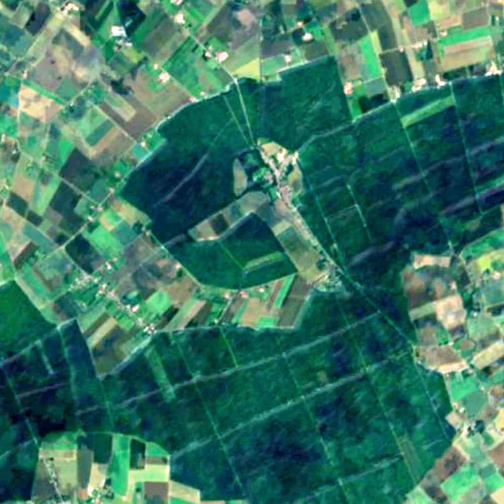 Forêt de Nieppe seen from above (Sentinel-2)
