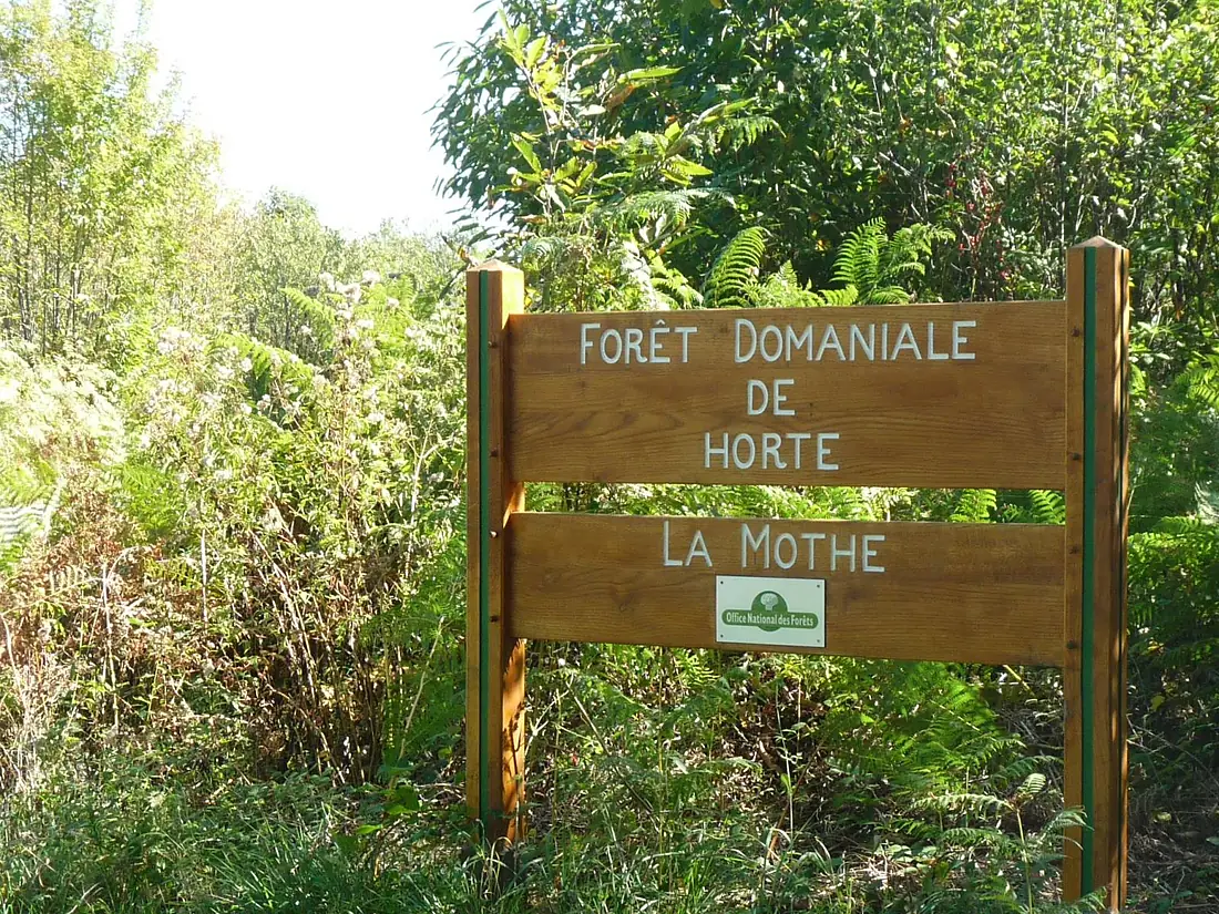 Horte combiers