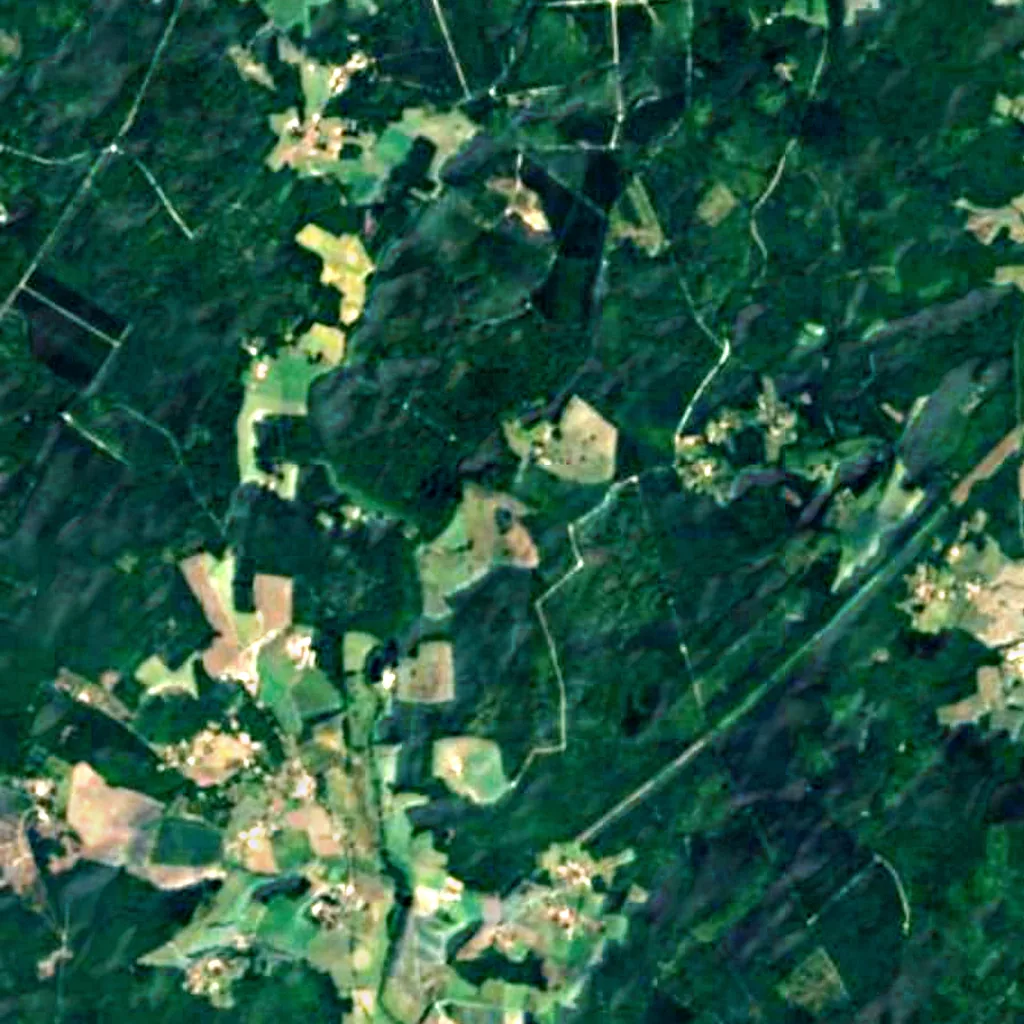 Forêt d'Horte seen from above (Sentinel-2)