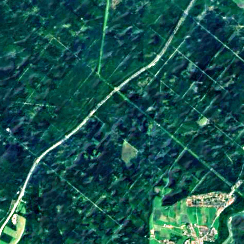 Forstenrieder Park seen from above (Sentinel-2)
