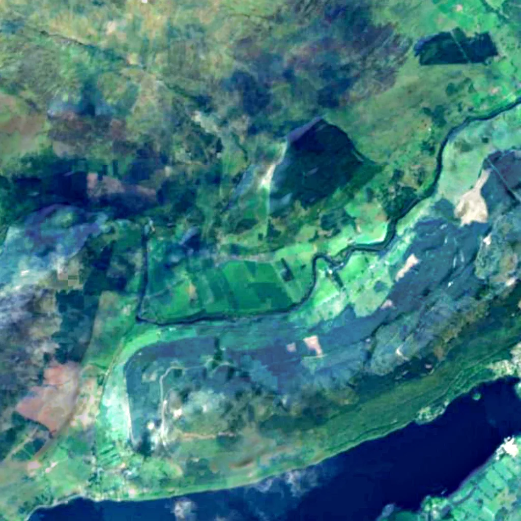 Fortingall Yew seen from above (Sentinel-2)
