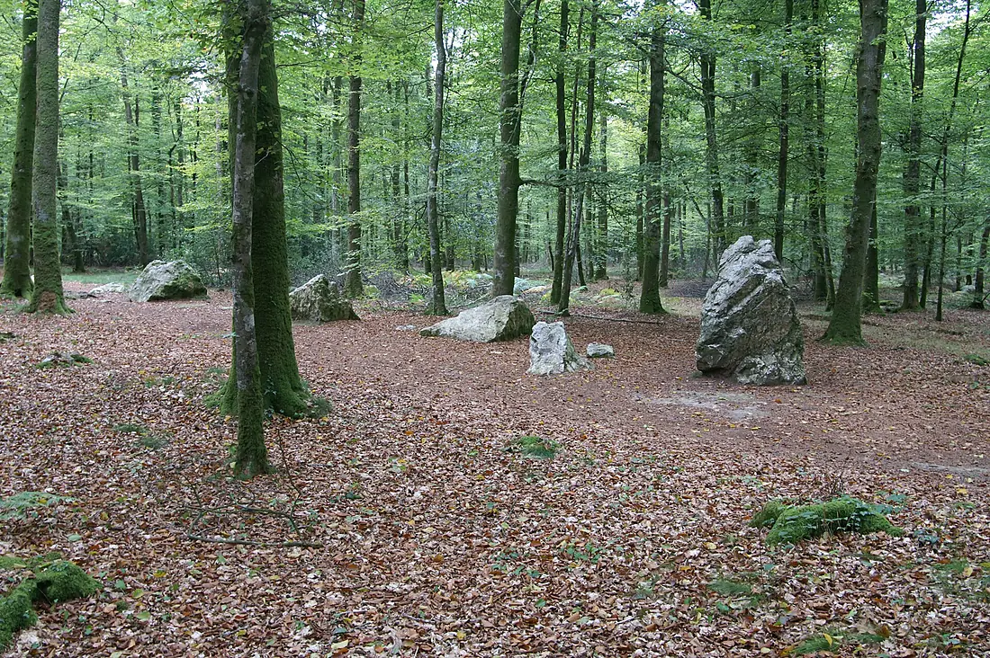 Landéan - CordondesDruides2