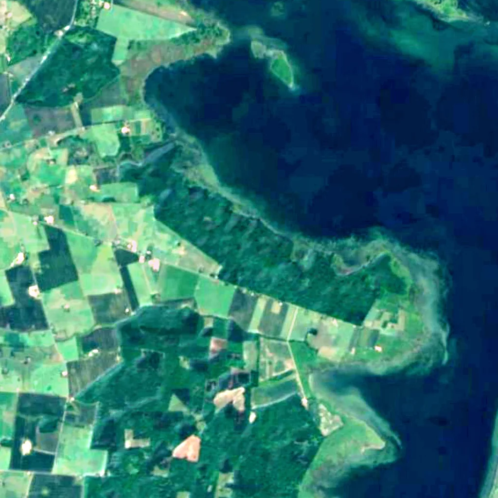 Frejlev Skov seen from above (Sentinel-2)