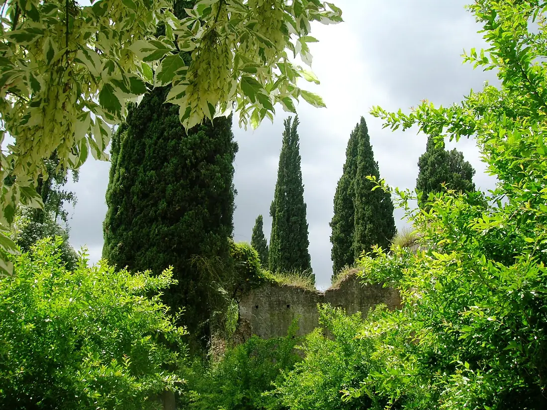 Giardino di Ninfa 23