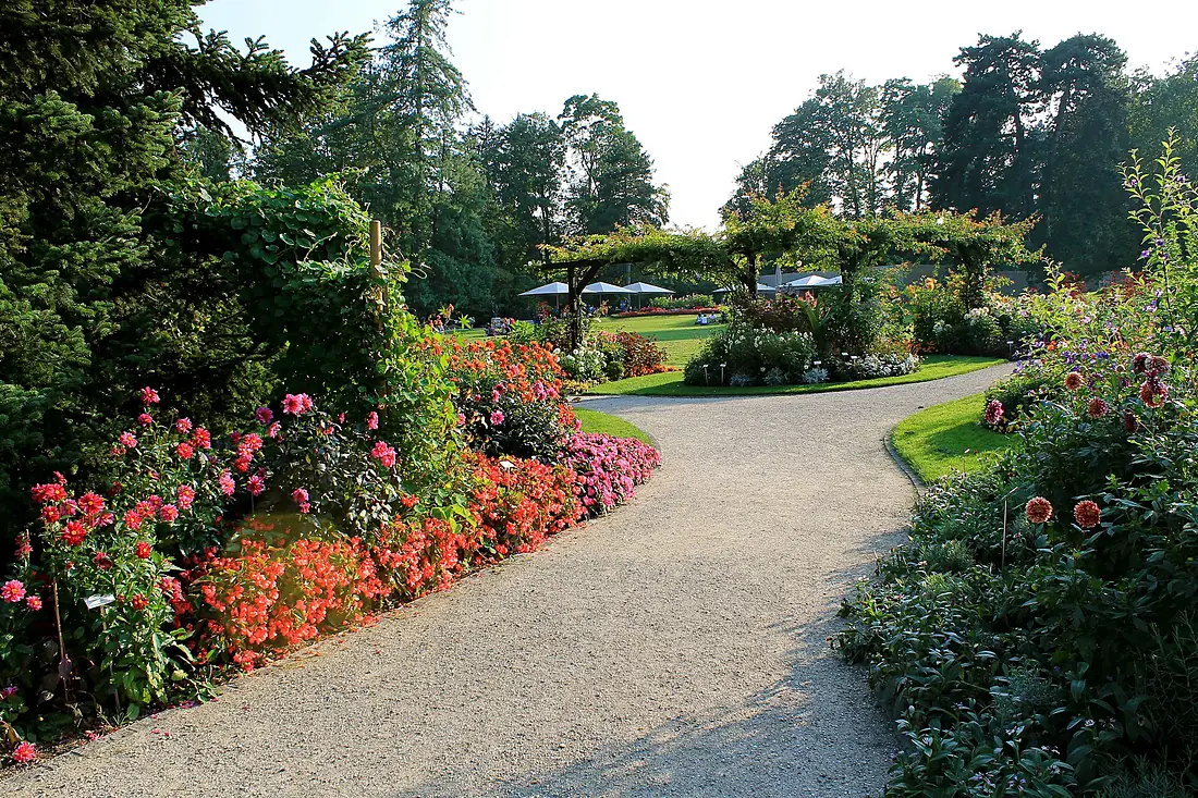 Genève , Jardin Botanique - panoramio (2)