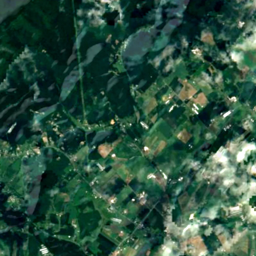 George Washington and Jefferson National Forests seen from above (Sentinel-2)