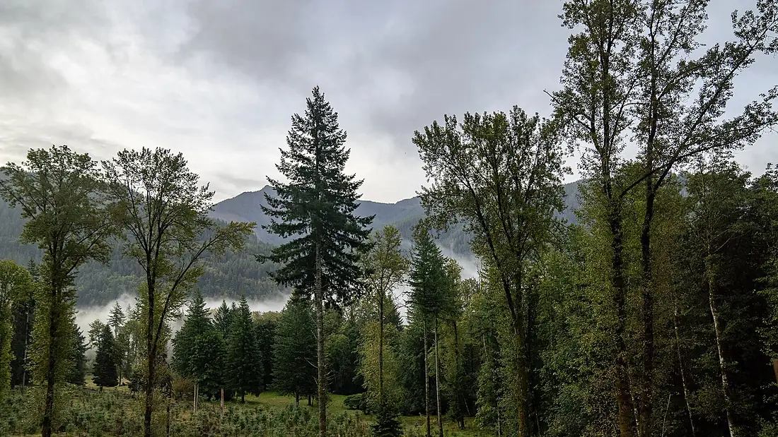 20190923-Gifford-CMR-0042a (48871853337)