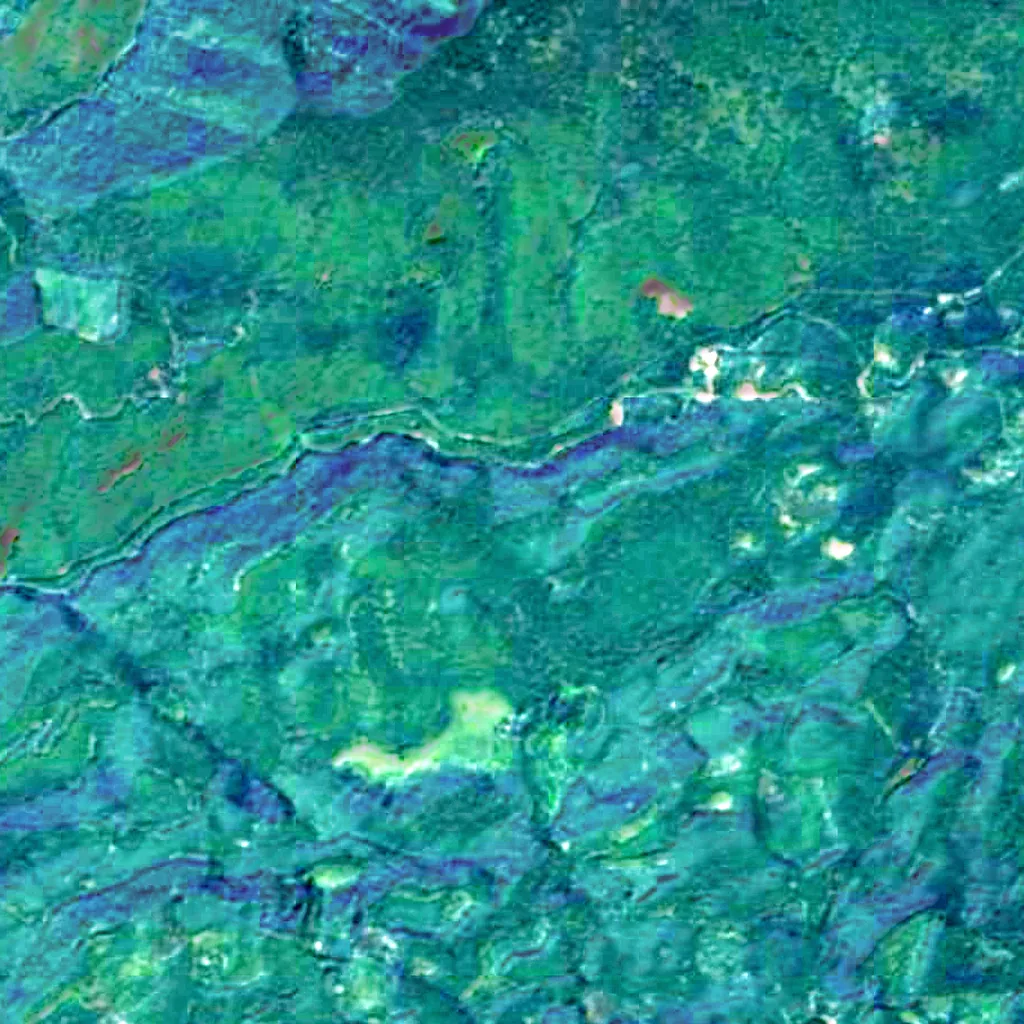 Gifford Pinchot National Forest seen from above (Sentinel-2)