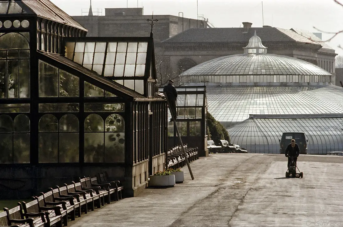Glasgow Botanic Gardens reopen 009