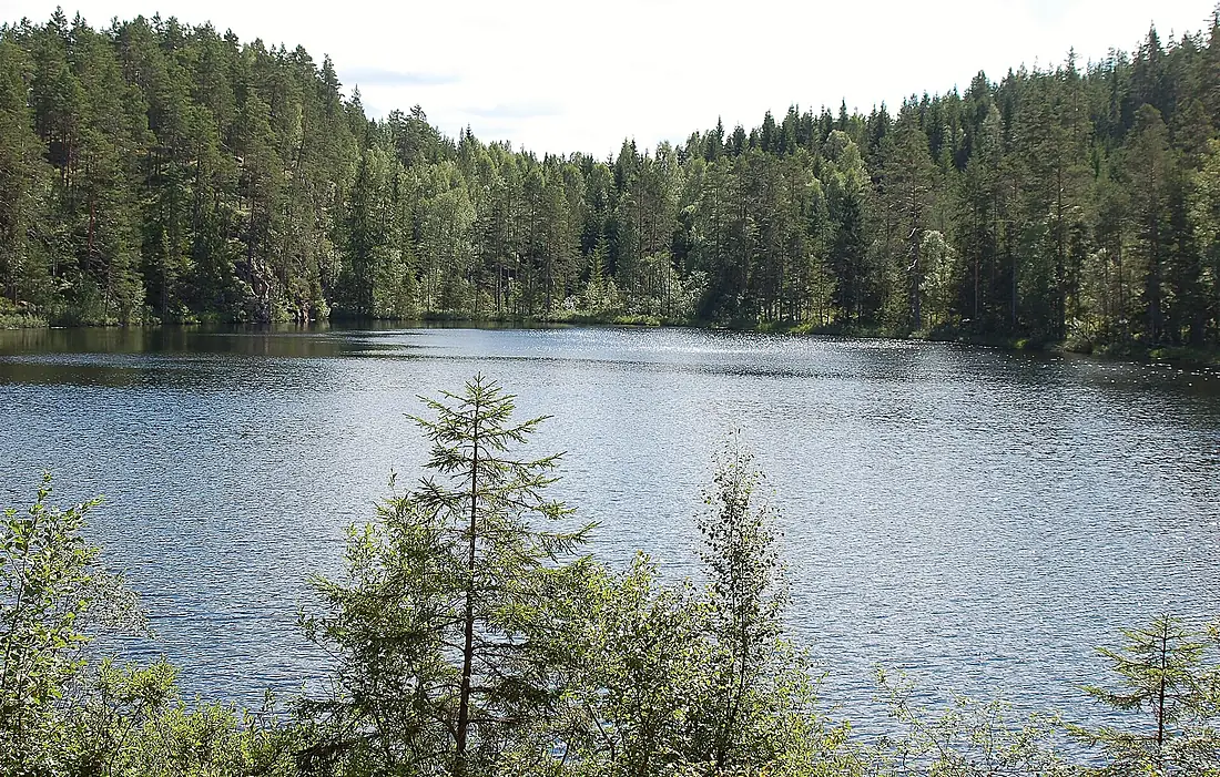 Bergstjärnet