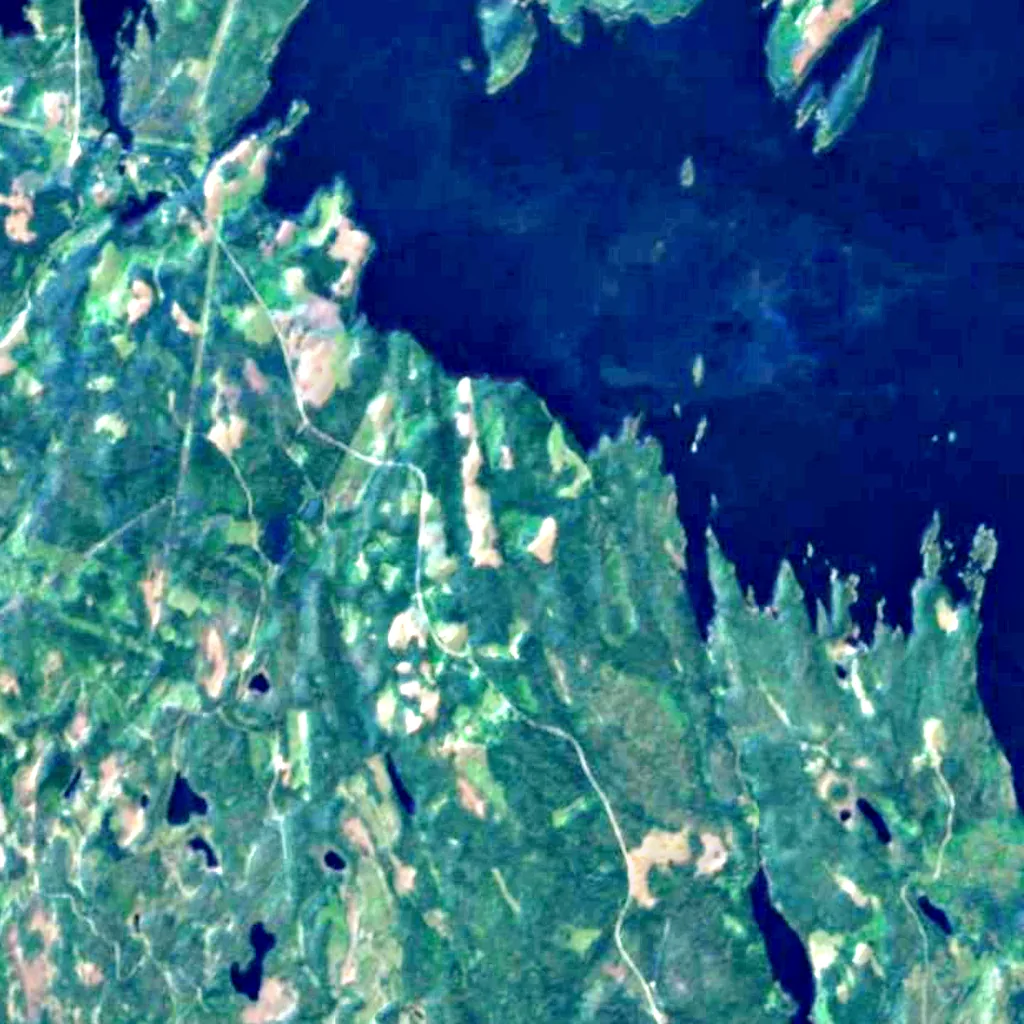 Glaskogen seen from above (Sentinel-2)