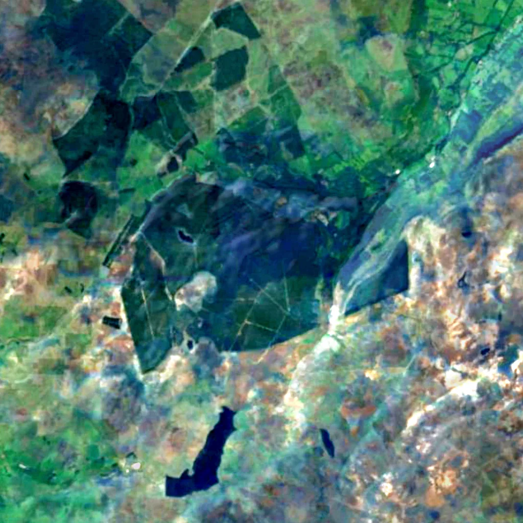 Glenariff Forest Park seen from above (Sentinel-2)