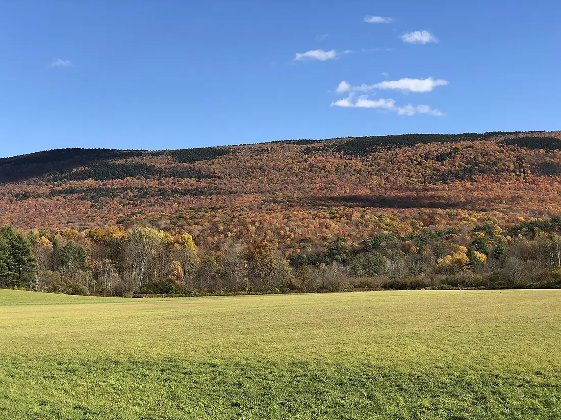 2020-10-17 15 12 44 View south-southeast towards the Green Mountain National Forest during autumn from Virginia State Route 7A in Sunderland, Bennington County, Vermont