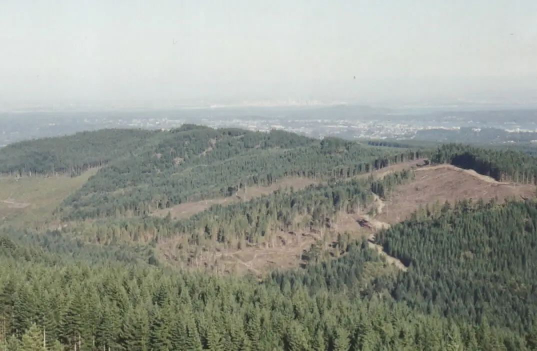 Green Mountain1