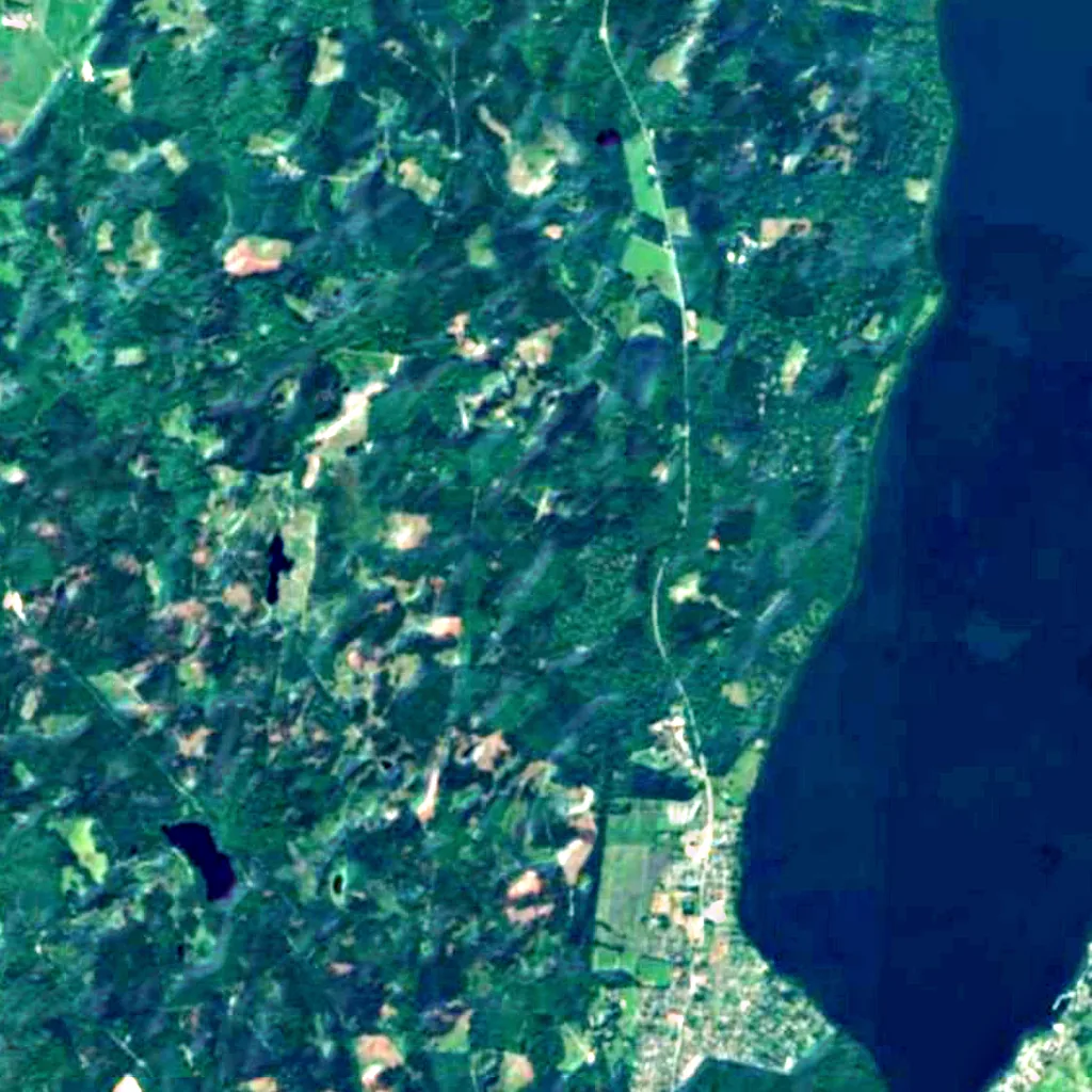 Gribskov seen from above (Sentinel-2)