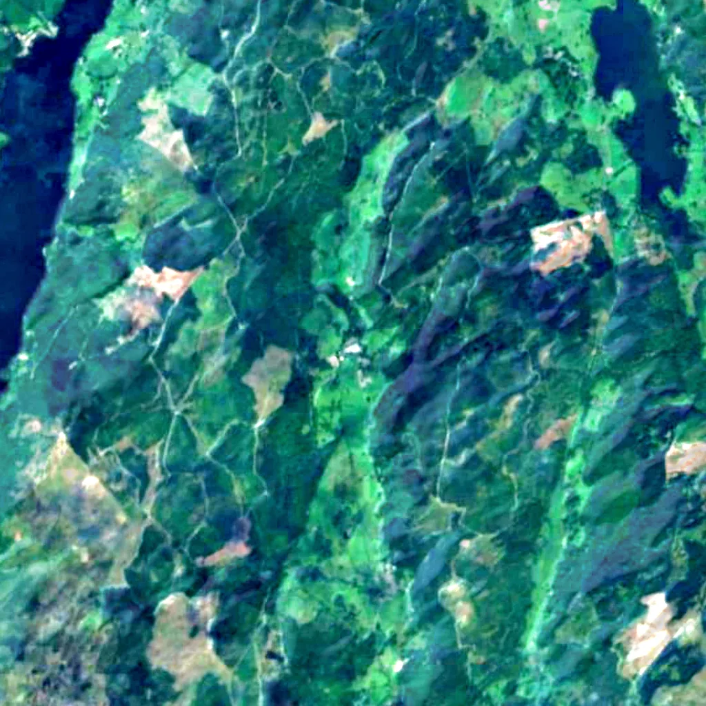 Grizedale Forest seen from above (Sentinel-2)