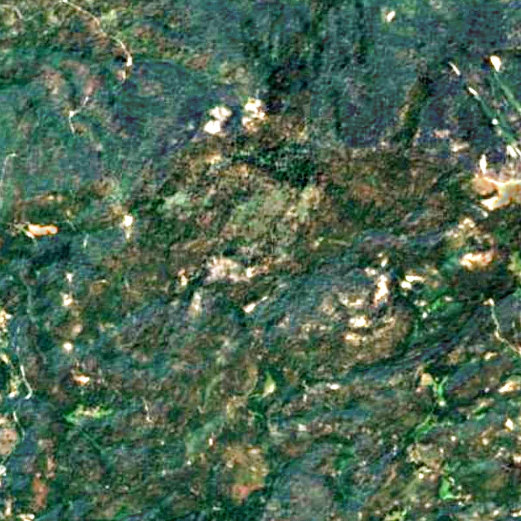 Grizzly Giant seen from above (Sentinel-2)
