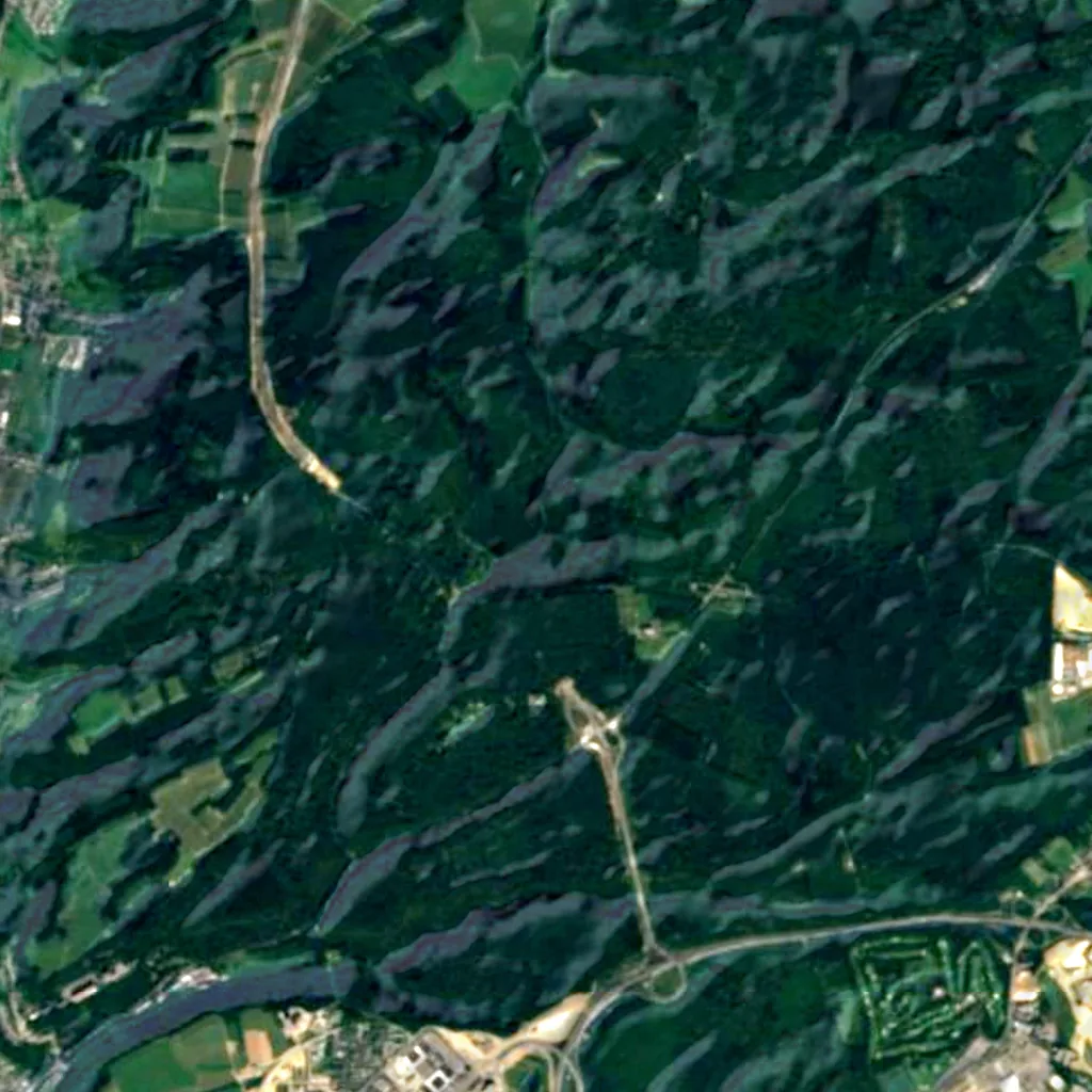 Grünewald seen from above (Sentinel-2)
