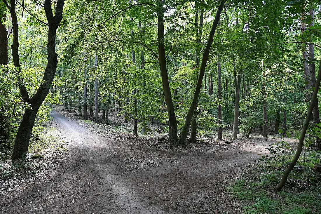 (20240607) Grunewald 02