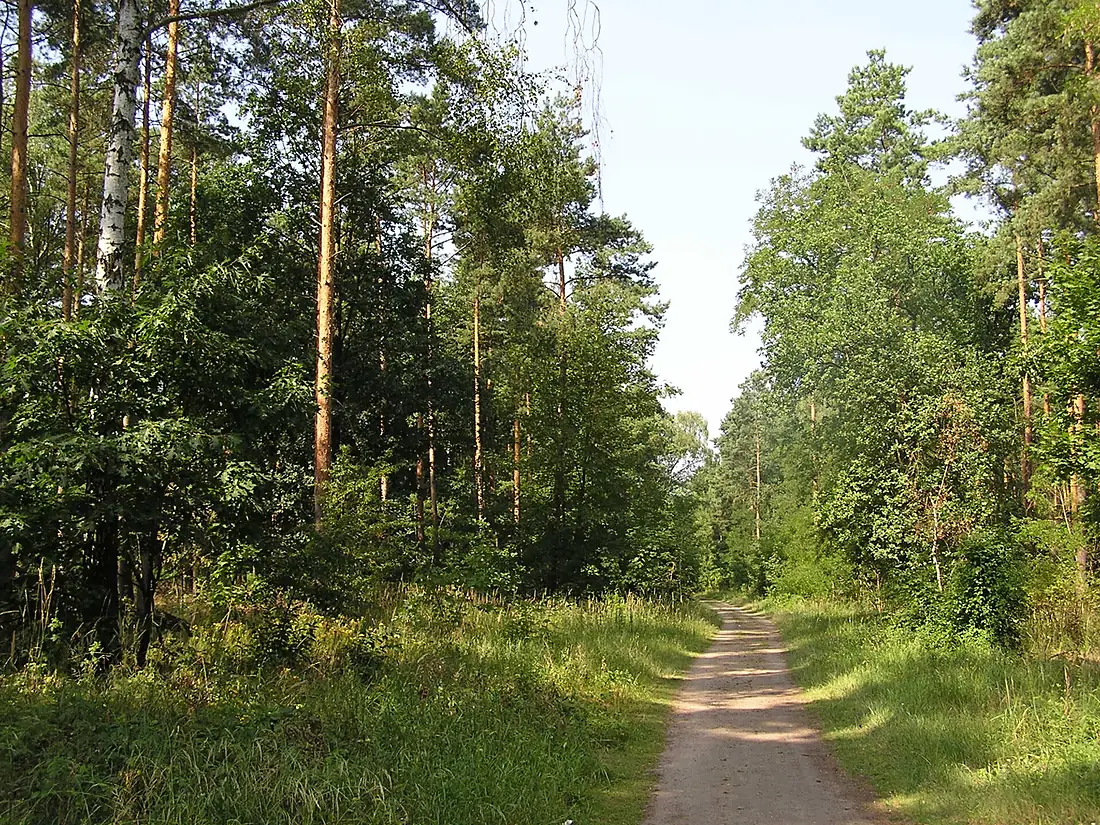 Ausblick Grunewald LSG-38