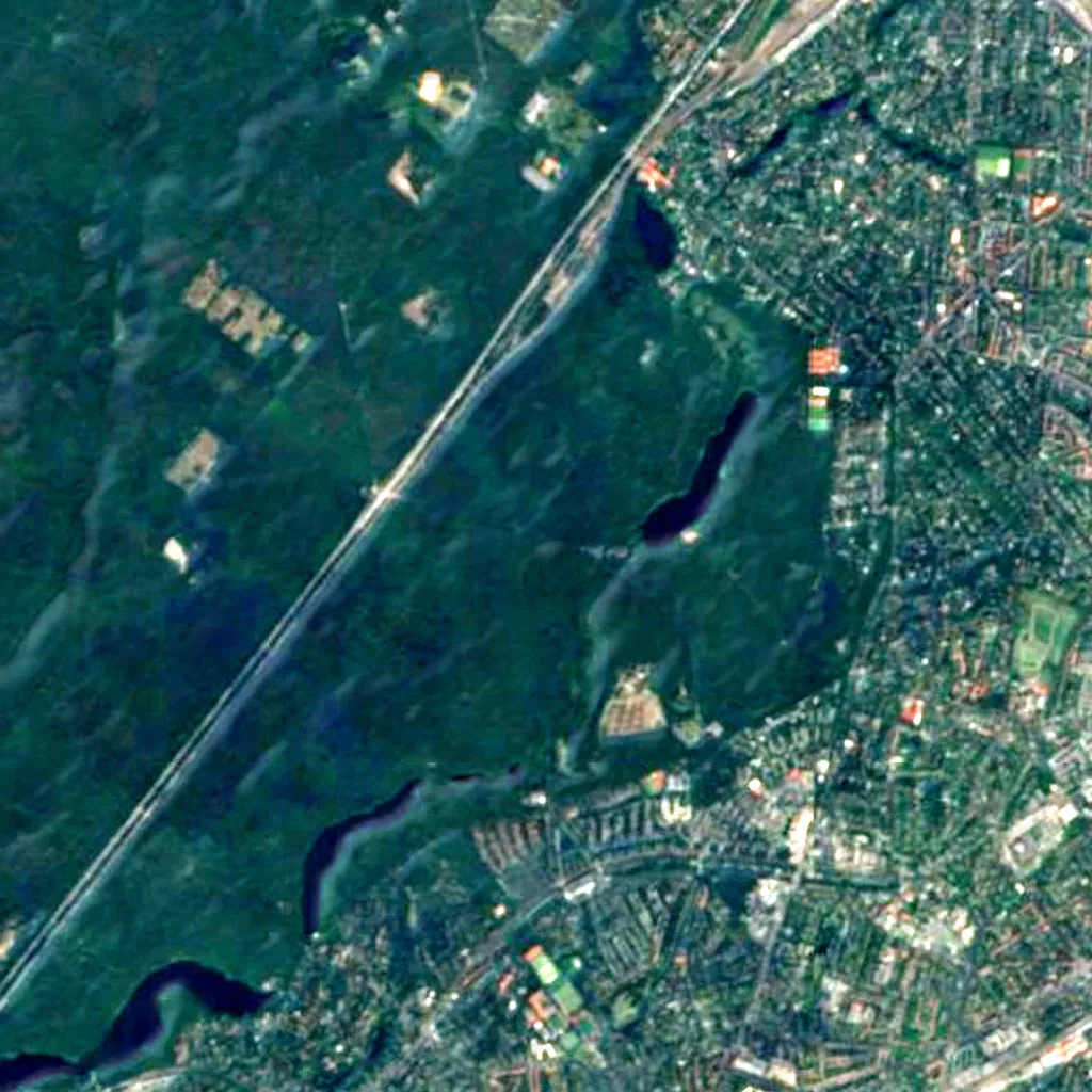 Grunewald seen from above (Sentinel-2)