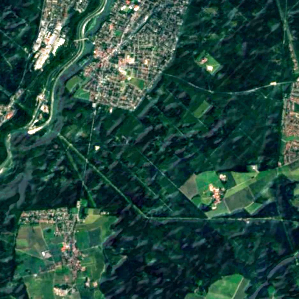 Grünwalder Forst seen from above (Sentinel-2)