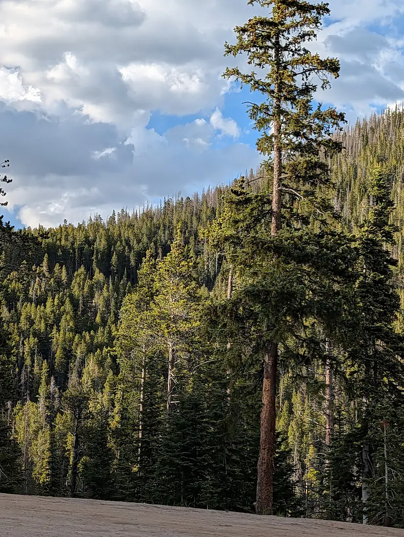 Grand Mesa and Gunnison National Forest