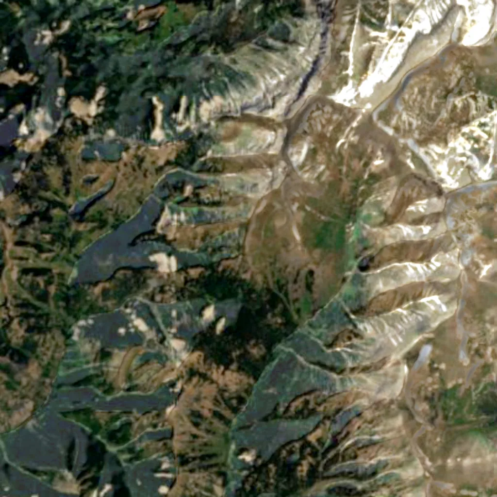 Gunnison National Forest seen from above (Sentinel-2)