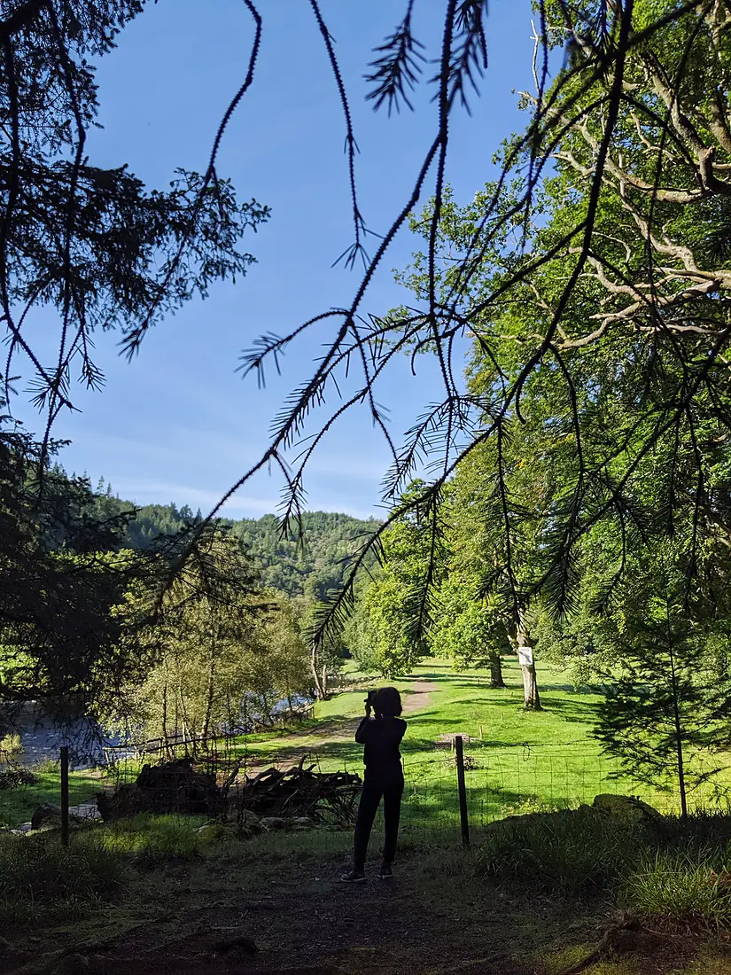 Gwydir Forest - Flickr - Petersrockypics