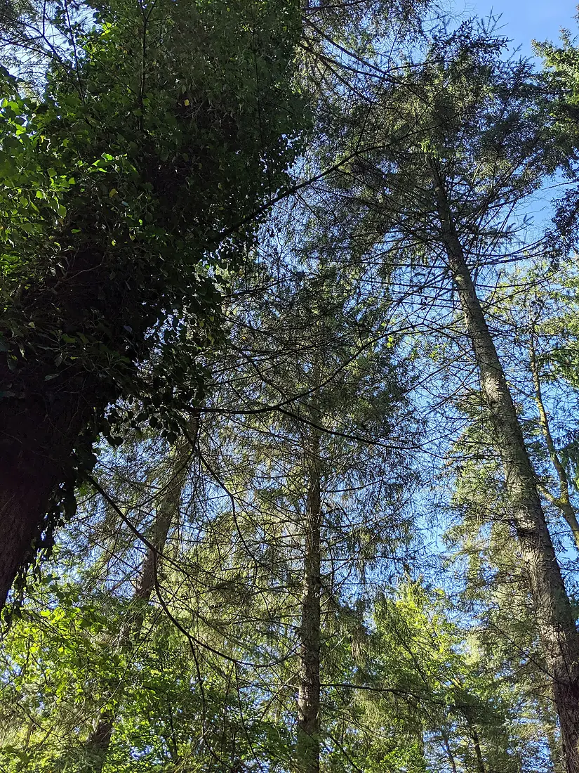 Betws-y-Coed 2019-09-14 04