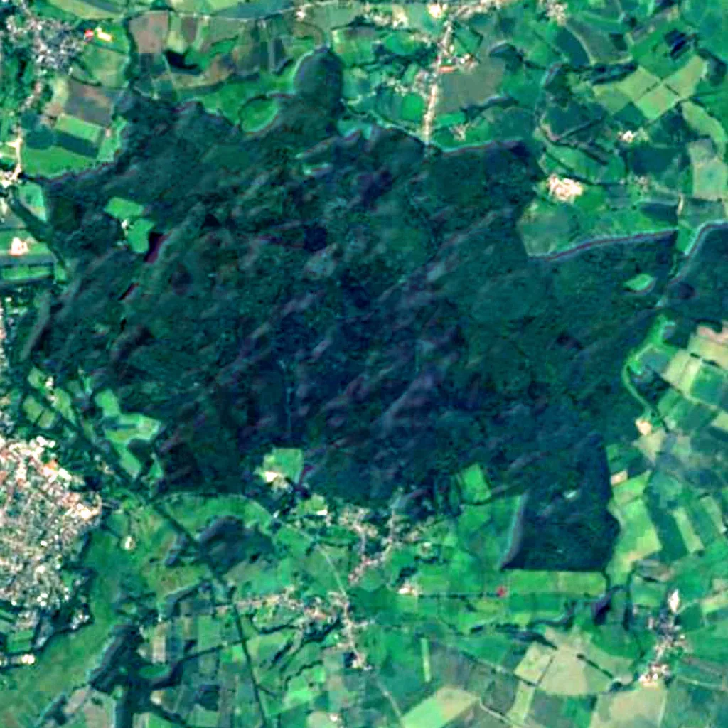 Hahnheide seen from above (Sentinel-2)