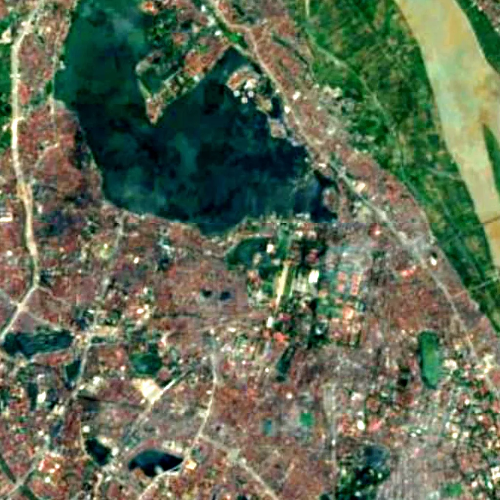 Hanoi Botanic Garden seen from above (Sentinel-2)