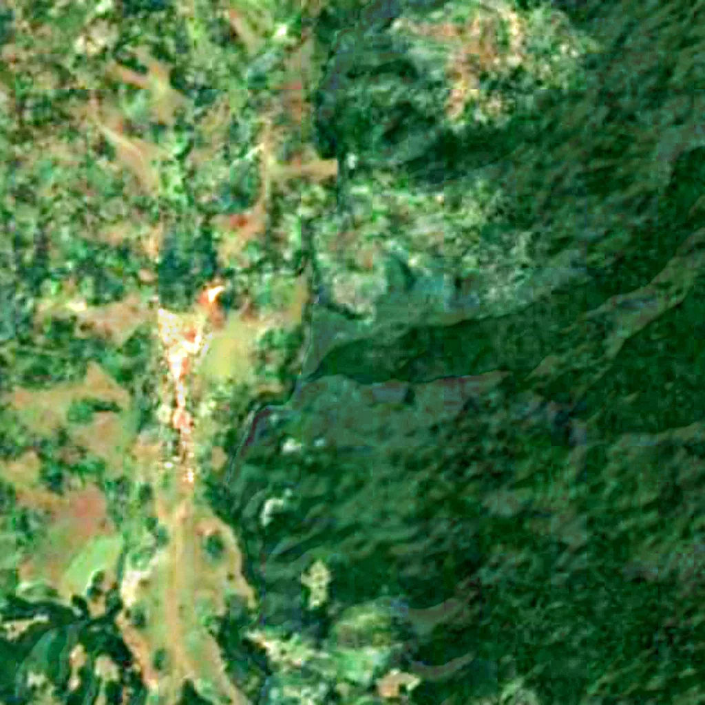 Harenna Forest seen from above (Sentinel-2)
