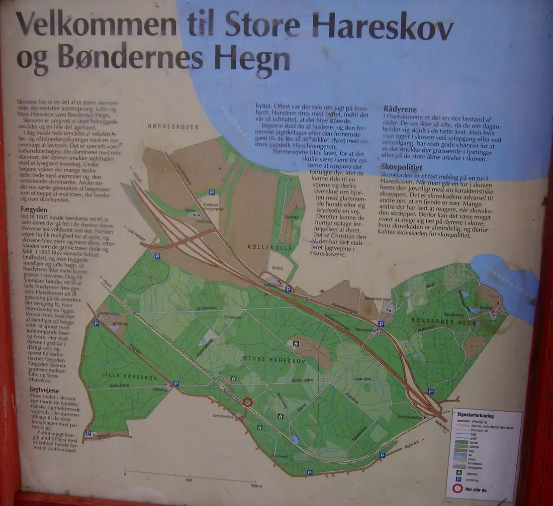 Hareskoven kort