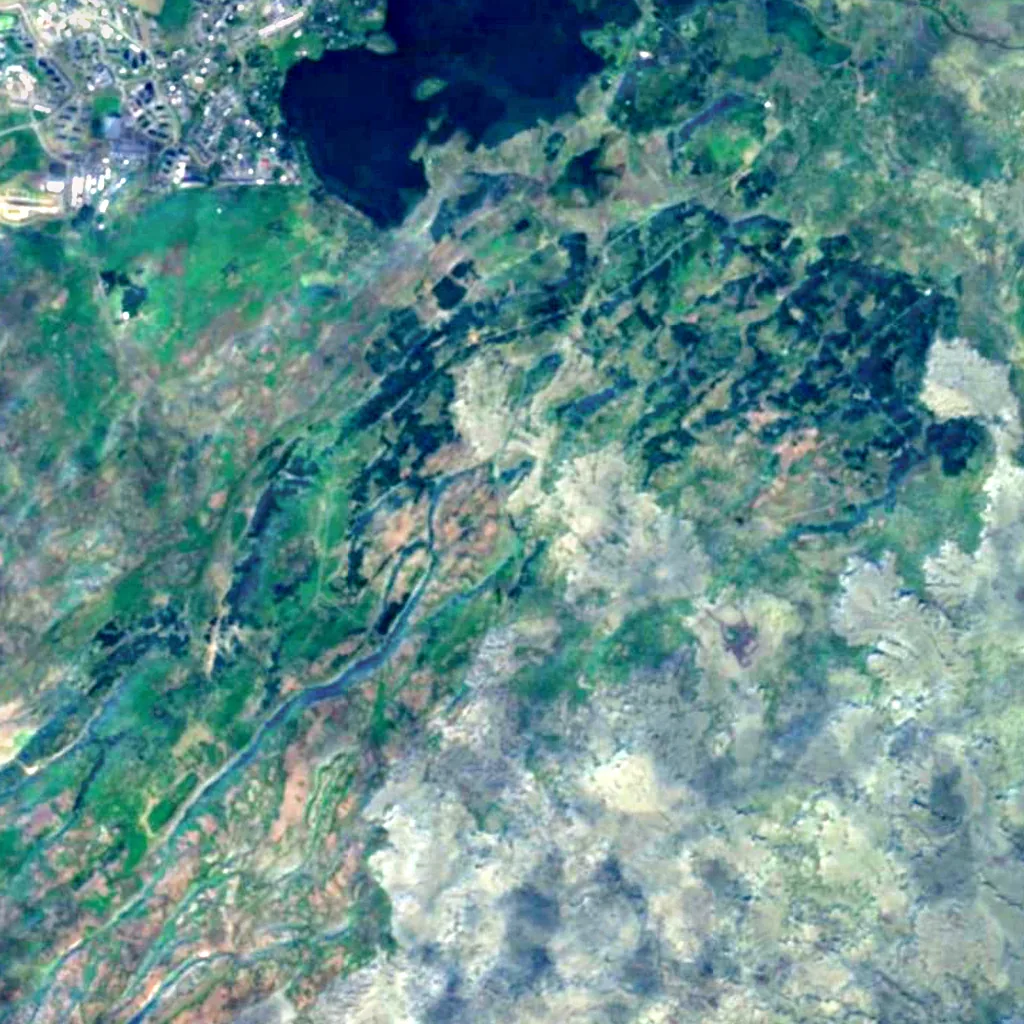Heiðmörk seen from above (Sentinel-2)