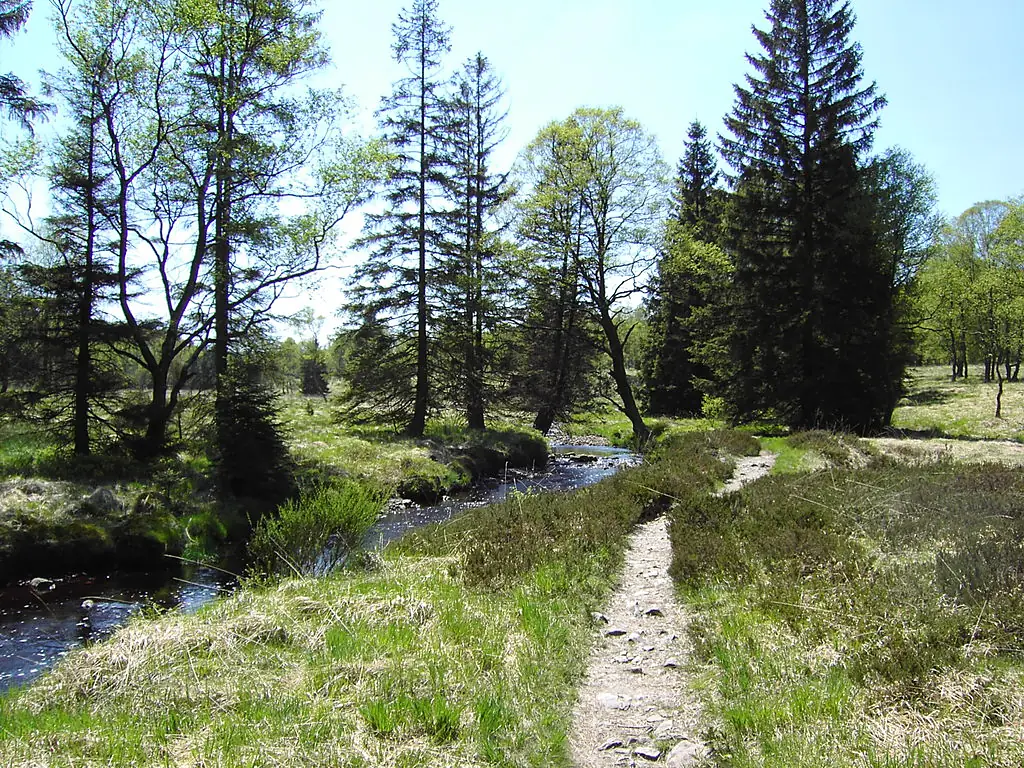 Die Hill zwischen Herzogenhügel und wallonischen Venn - panoramio